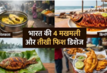Photo of मुंह में घुल जाएगी या कानों से धुंआ निकालेगी? भारत की ये 4 फिश डिशेज हर नॉन-वेज लवर का सपना हैं