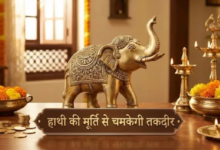 Photo of  घर की इस दिशा में रखें हाथी की मूर्ति, अन्न-धन से भरे रहेंगे भंडार, पढ़ें वास्तु नियम