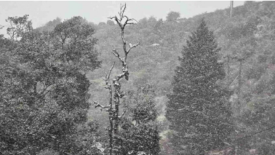 Photo of देहरादून में आज बारिश की चेतावनी, 12वीं तक के स्कूल बंद, बर्फबारी को लेकर ऑरेंज अलर्ट