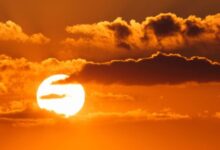 Photo of राजस्थान में बढ़ी गर्मी की रफ्तार: कई जिलों में पारा 36 डिग्री पार