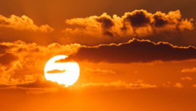 Photo of राजस्थान में बढ़ी गर्मी की रफ्तार: कई जिलों में पारा 36 डिग्री पार