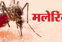 Photo of  बरेली में मलेरिया की दस्तक, तीन मरीज मिले, घातक फेल्सीपेरम की चपेट में आई किशोरी