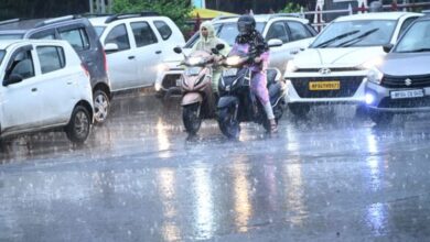 Photo of एमपी में फिर बदला मौसम, भोपाल में बारिश, कई जिलों में गिरे ओले