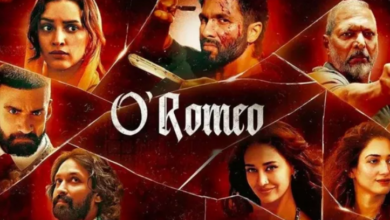 Photo of शाहिद कपूर की फिल्म ने तीन दिन के कलेक्शन से बॉक्स ऑफिस पर उड़ा दिया गर्दा