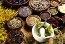 Photo of यूपी: प्रदेश में खुलेंगे यूनानी मेडिकल कॉलेज व डिस्पेंसरी, योगी सरकार के मंत्री ने की घोषणा