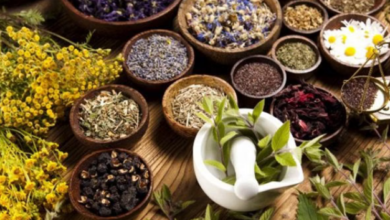 Photo of यूपी: प्रदेश में खुलेंगे यूनानी मेडिकल कॉलेज व डिस्पेंसरी, योगी सरकार के मंत्री ने की घोषणा