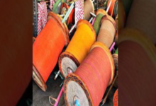 Photo of चाइनीज मांझा: आदेशों पर एक्शन कहां, हरियाणा पुलिस मुख्यालय को जानकारी नहीं