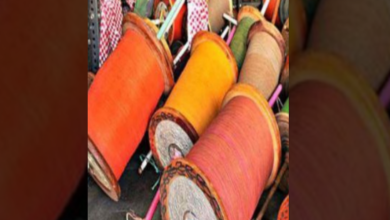 Photo of चाइनीज मांझा: आदेशों पर एक्शन कहां, हरियाणा पुलिस मुख्यालय को जानकारी नहीं