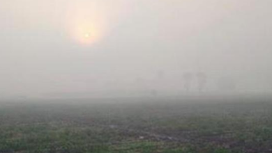 Photo of पंजाब के 14 जिलों में अलर्ट जारी, जानें 4 फरवरी तक के मौसम का हाल