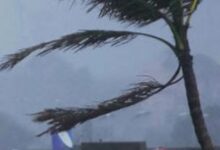 Photo of प्रदेश से कोहरे ने ली विदा, 8 डिग्री के पारे के साथ बरेली रहा सबसे ठंडा