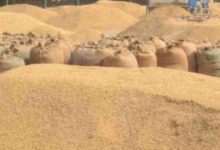 Photo of  जबलपुर: धान खरीदी केंद्र में 38 लाख का घोटाला, सात पर केस दर्ज