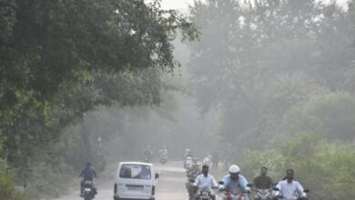 Photo of वेस्टर्न डिस्टरबेंस का असर जारी,मध्यप्रदेश में बारिश-आंधी के साथ कोहरे का असर, आज 20 जिलों में अलर्ट