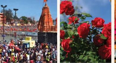 Photo of  सिंहस्थ के लिए 4200 हेक्टेयर में होगी फूलों की खेती