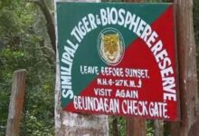 Photo of ओडिशा के जंगलों में मिले लाइकेन से बनेगी कैंसर की दवा