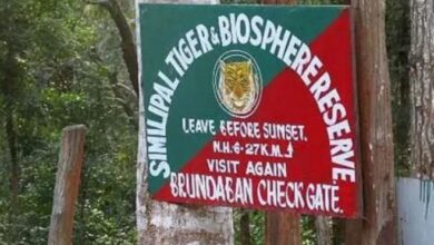 Photo of ओडिशा के जंगलों में मिले लाइकेन से बनेगी कैंसर की दवा