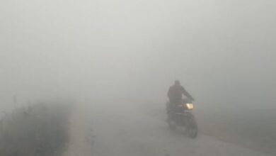 Photo of राजस्थान में मौसम का मिला-जुला असर, बाड़मेर सबसे गर्म तो पाली सबसे ठंडा