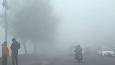 Photo of  सुबह-शाम सर्दी, लेकिन दिनभर तेज धूप से बढ़ रहा तापमान