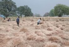 Photo of जिन किसानों के पास नहीं है जमीन, उनके लिए खुशखबरी