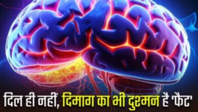 Photo of शरीर में फैट का संतुलन बिगड़ने से दिमाग की नसें हो जाती हैं कमजोर