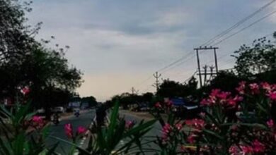 Photo of फरवरी के दूसरे पखवाड़े में पश्चिमी विक्षोभ सक्रिय