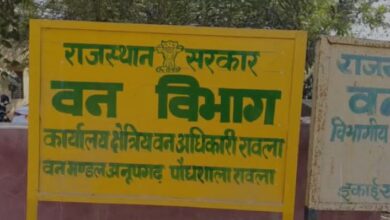 Photo of लोगों के दबाव में झुका प्रशासन, रावला मंडी में हरे पेड़ों की कटाई पर 2 वनकर्मी निलंबित