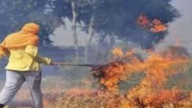 Photo of उत्तराखंड में जंगल की आग को लेकर सख्ती: खेतों में फसल अवशेष जलाने की समय सीमा तय
