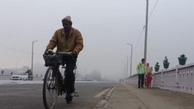 Photo of हरियाणा में पश्चिमी विक्षोभ का हल्का असर: अब 16 फरवरी तक शुष्क मौसम