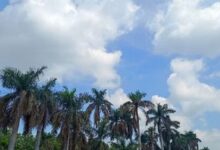 Photo of राजस्थान में सर्दी की विदाई; पारा चढ़ा, अब सताने लगी हल्की गर्मी