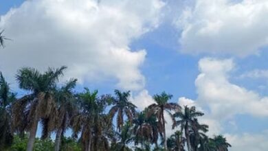 Photo of राजस्थान में सर्दी की विदाई; पारा चढ़ा, अब सताने लगी हल्की गर्मी