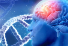 Photo of पार्किंसंस के मरीजों के लिए नई उम्मीद