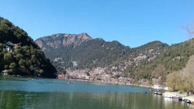 Photo of उत्तराखंड: तपने लगा तराई-भाबर, पारा 28 डिग्री पहुंचा