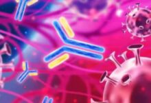 Photo of सिर्फ उम्र नहीं, बर्थप्लेस और जेंडर से भी तय होती है आपकी इम्युनिटी