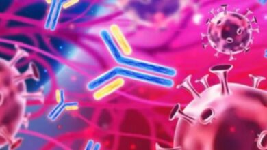 Photo of सिर्फ उम्र नहीं, बर्थप्लेस और जेंडर से भी तय होती है आपकी इम्युनिटी