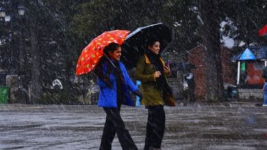 Photo of प्रदेश में आज से और बढ़ेगी गर्मी की रफ्तार, होली के पहले हुई अप्रैल जैसी धूप