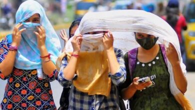 Photo of हरियाणा में जल्द गर्मी देगी दस्तक, इस वजह से बदला मौसम का मिजाज