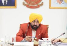 Photo of पंजाब सरकार का ऐतिहासिक फैसला: सीमावर्ती किसानों को मिलेगा सरकारी जमीन पर मुआवजे का हक