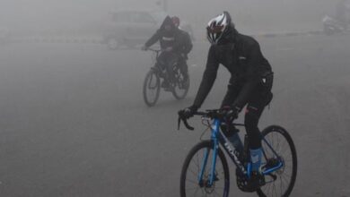 Photo of पंजाब में घने कोहरे का अलर्ट: दृश्यता 10 मीटर तक घटी, जनजीवन प्रभावित