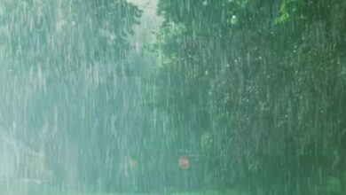 Photo of झारखंड के मौसम का बदला मिजाज: तेज हवा के साथ बारिश ने गिराया तापमान