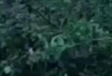 Photo of हरियाणा में बढ़ने लगी गर्मी…31 डिग्री पहुंचा तापमान, इस दिन मौसम में होगा बदलाव