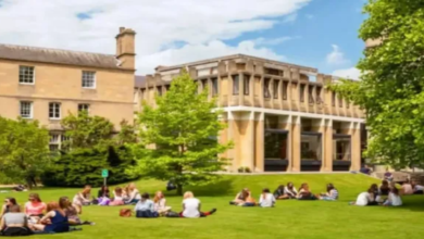 Photo of हरियाणा-पंजाब के छात्रों को झटका, ब्रिटेन के कई विश्वविद्यालयों ने दाखिले पर लगाई रोक