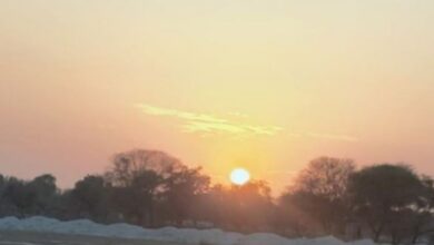 Photo of प्रदेश में गर्मी की आहट, फरवरी में ही पारा 36 पार पहुंचा