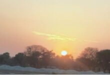 Photo of हरियाणा में फरवरी में अप्रैल जैसी गर्मी सताने लगी: 32 डिग्री तक पहुंचा था तापमान