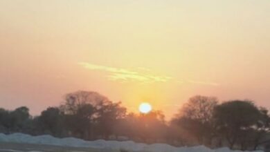 Photo of प्रदेश में समय से पहले गर्मी की दस्तक, 37 डिग्री के करीब पहुंचा तापमान