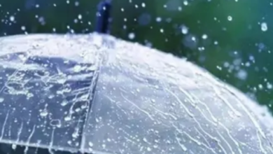Photo of झारखंड में बदलेगा मौसम का मिजाज, 13 जिलों में बारिश की संभावना