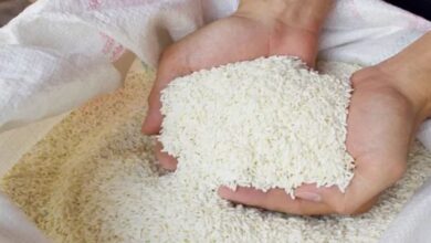 Photo of PMGKAY के तहत फ्री में मिलने वाले अनाज पर सरकार का बड़ा फैसला