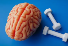 Photo of सिर्फ बॉडी ही नहीं, दिमाग को भी ‘फिट’ रखती है एक्सरसाइज