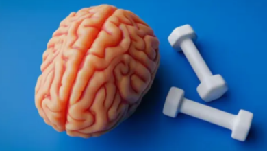 Photo of सिर्फ बॉडी ही नहीं, दिमाग को भी ‘फिट’ रखती है एक्सरसाइज