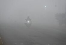 Photo of मध्य प्रदेश में मौसम का यू-टर्न, 20 जिलों में कोहरा