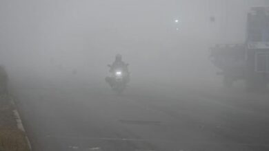 Photo of मध्य प्रदेश में मौसम का यू-टर्न, 20 जिलों में कोहरा