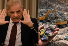 Photo of गिलगित-बाल्टिस्तान के रेयर अर्थ मिनरल्स का पाकिस्तान कर रहा दोहन